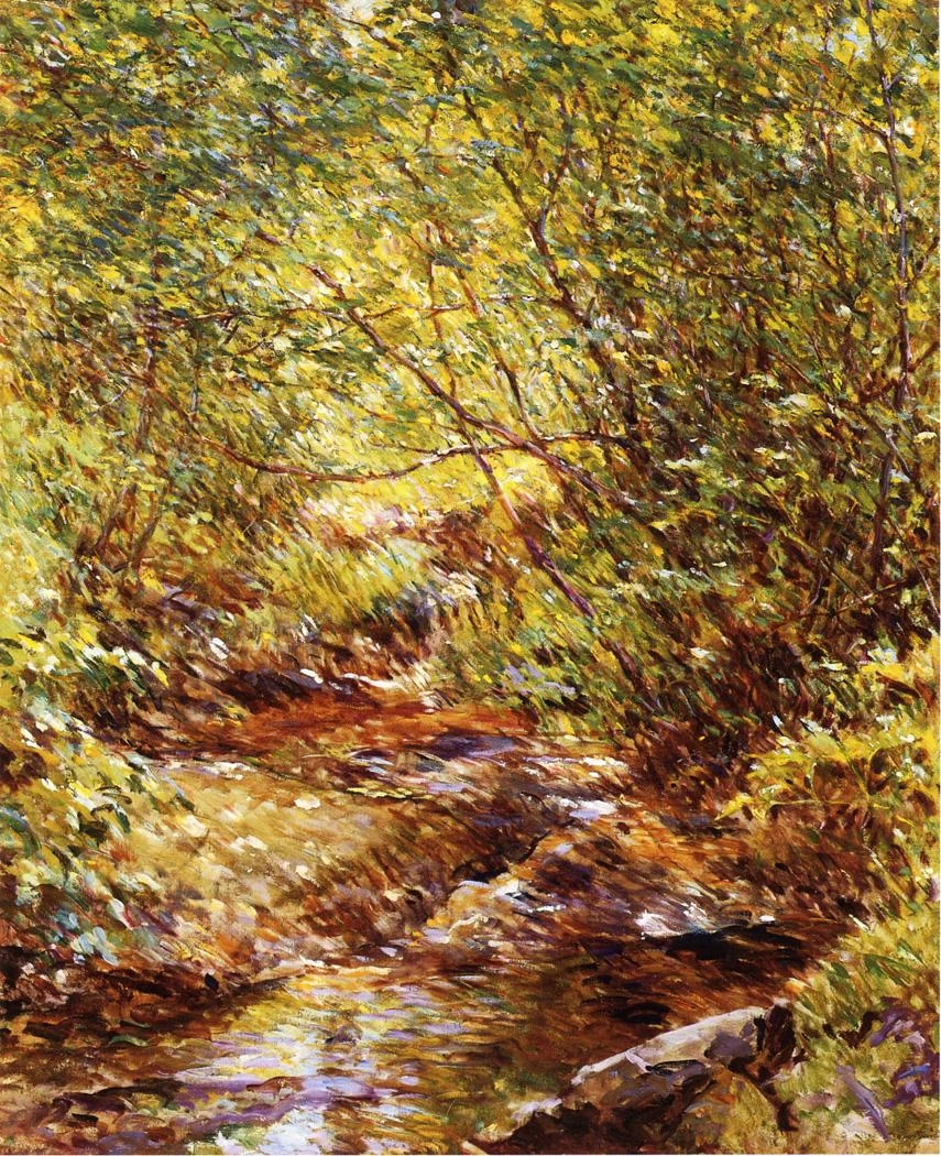 Un ruscello di bosco